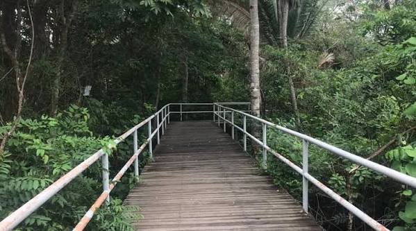 Foto de Parque Municipal Flor do Ipê