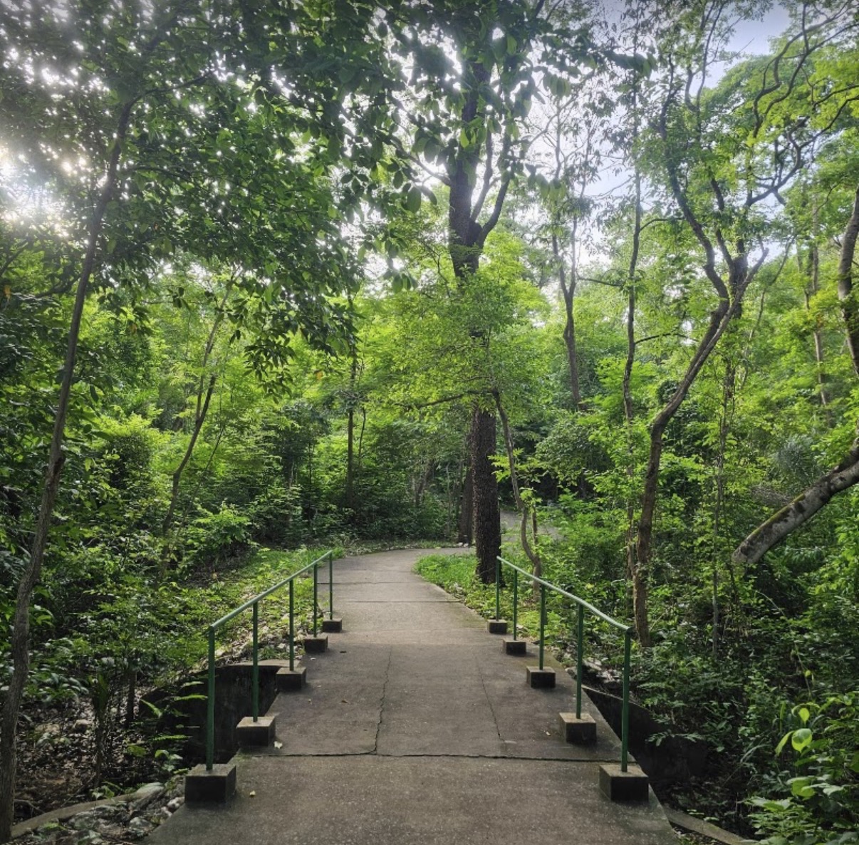 Parque Estadual Massairo Okamura