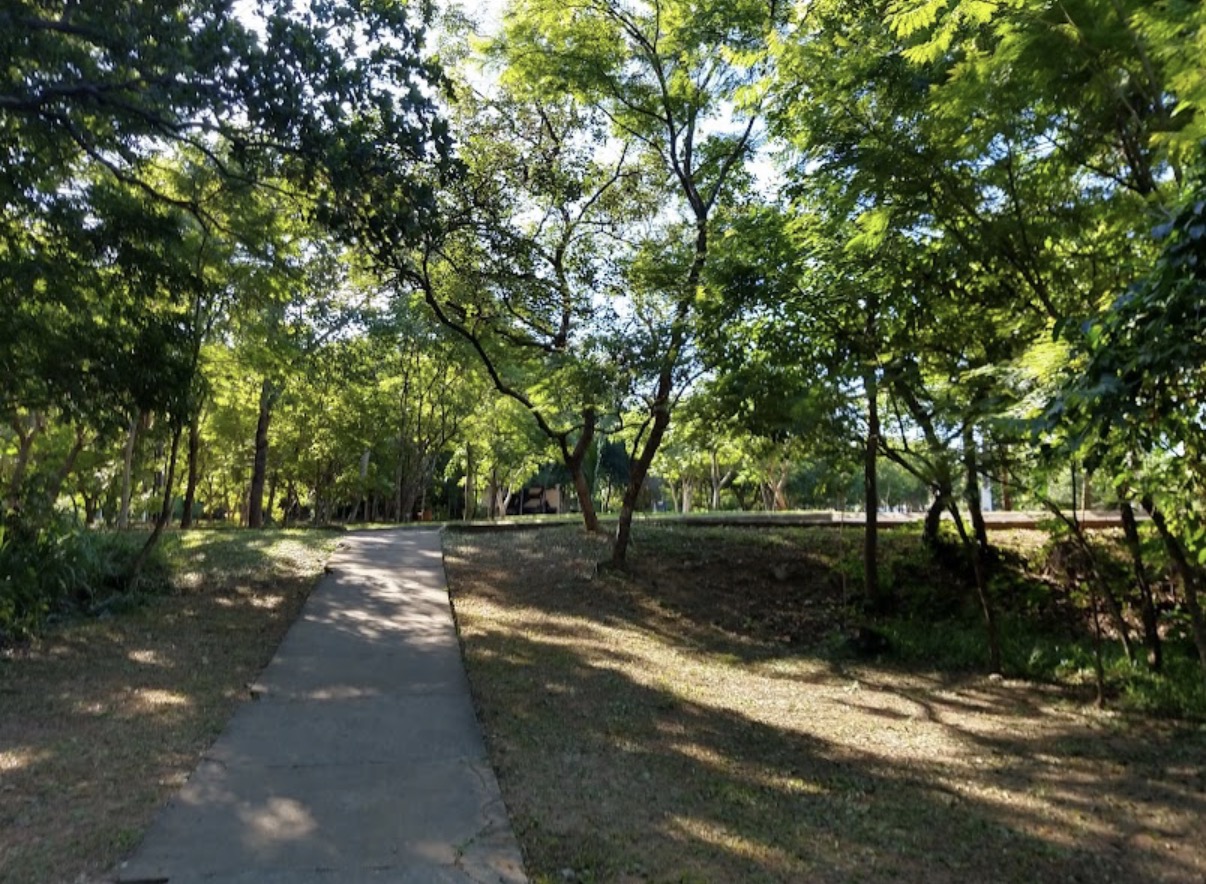 Parque Estadual Zé Bolo Flô